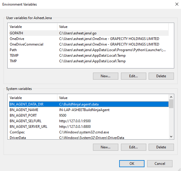 agent-env-variables