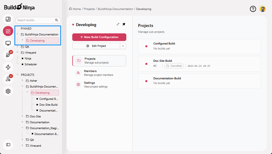pinned-project